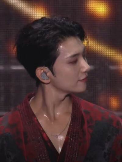 洪知秀 joshua svt