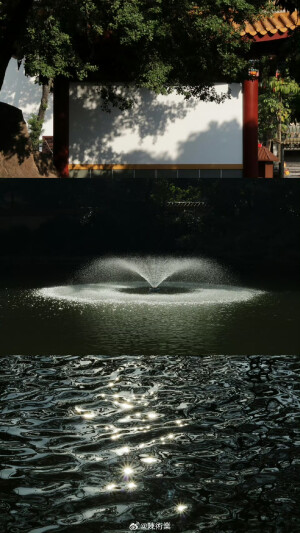 在路上 看十二月的綠 ​​​

摄影@陳術業