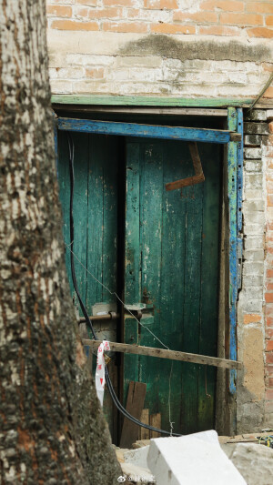 在路上 看十二月的綠 ​​​

摄影@陳術業