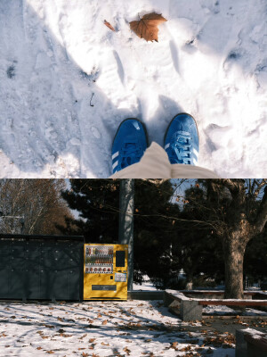 我想我大概比你更期待春天吧 ​

摄影@陳事物語