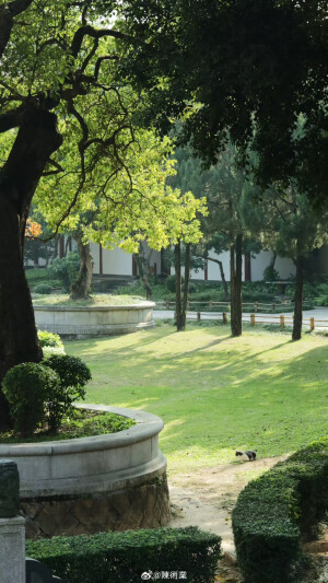 在路上 看十二月的綠 ​​​

摄影@陳術業