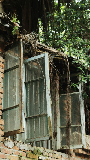 在路上 看十二月的綠 ​​​

摄影@陳術業