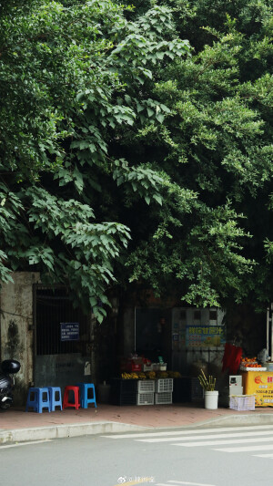 在路上 看十二月的綠 ​​​

摄影@陳術業