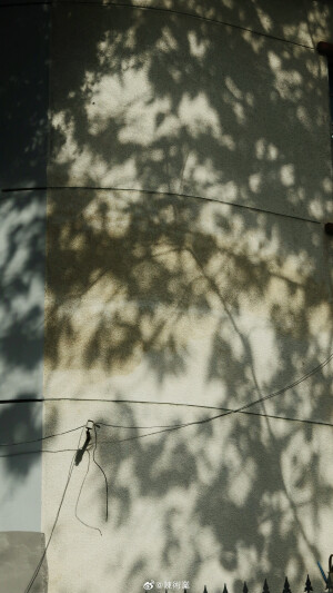 在路上 看十二月的綠 ​​​

摄影@陳術業