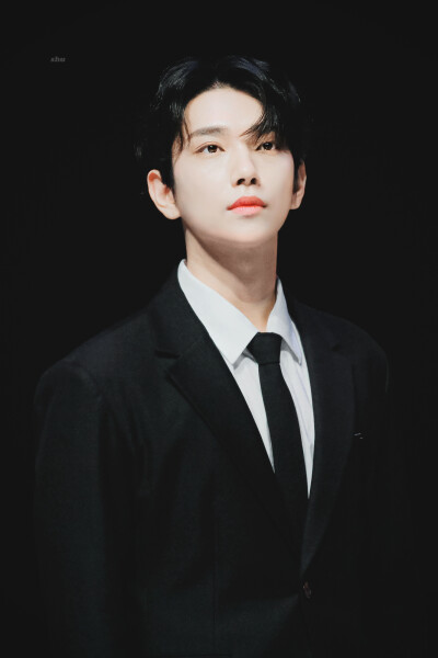 洪知秀 svt