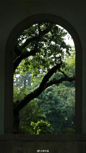 在路上 看十二月的綠 ​​​

摄影@陳術業