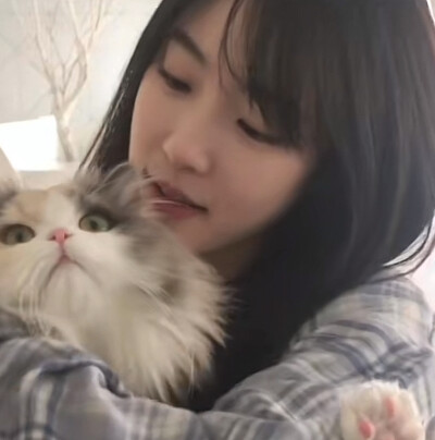 喵喵