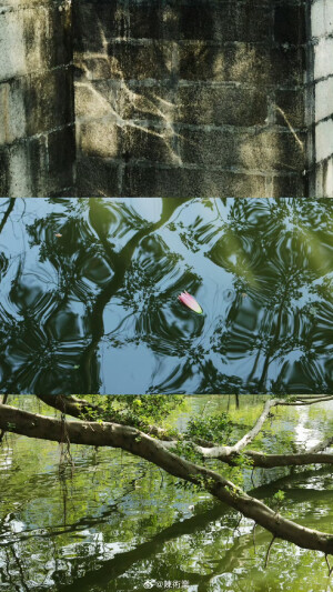 在路上 看十二月的綠 ​​​

摄影@陳術業