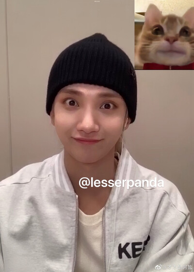 洪知秀 咻咻 svt