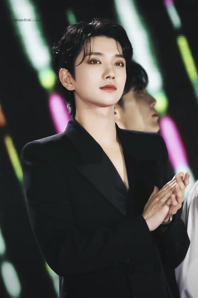 洪知秀 svt