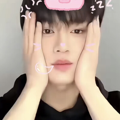 猪