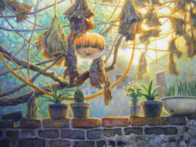 在斑驳光影里，枯黄藤蔓挂着圆润南瓜，几盆绿植静静生长在旧砖之上，岁月的宁静与自然的诗意在此刻交融，每一处细节都诉说着时光的故事。