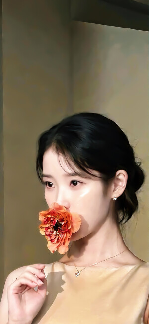 手机壁纸