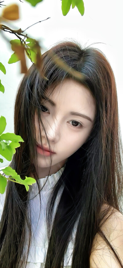 鞠婧祎壁纸