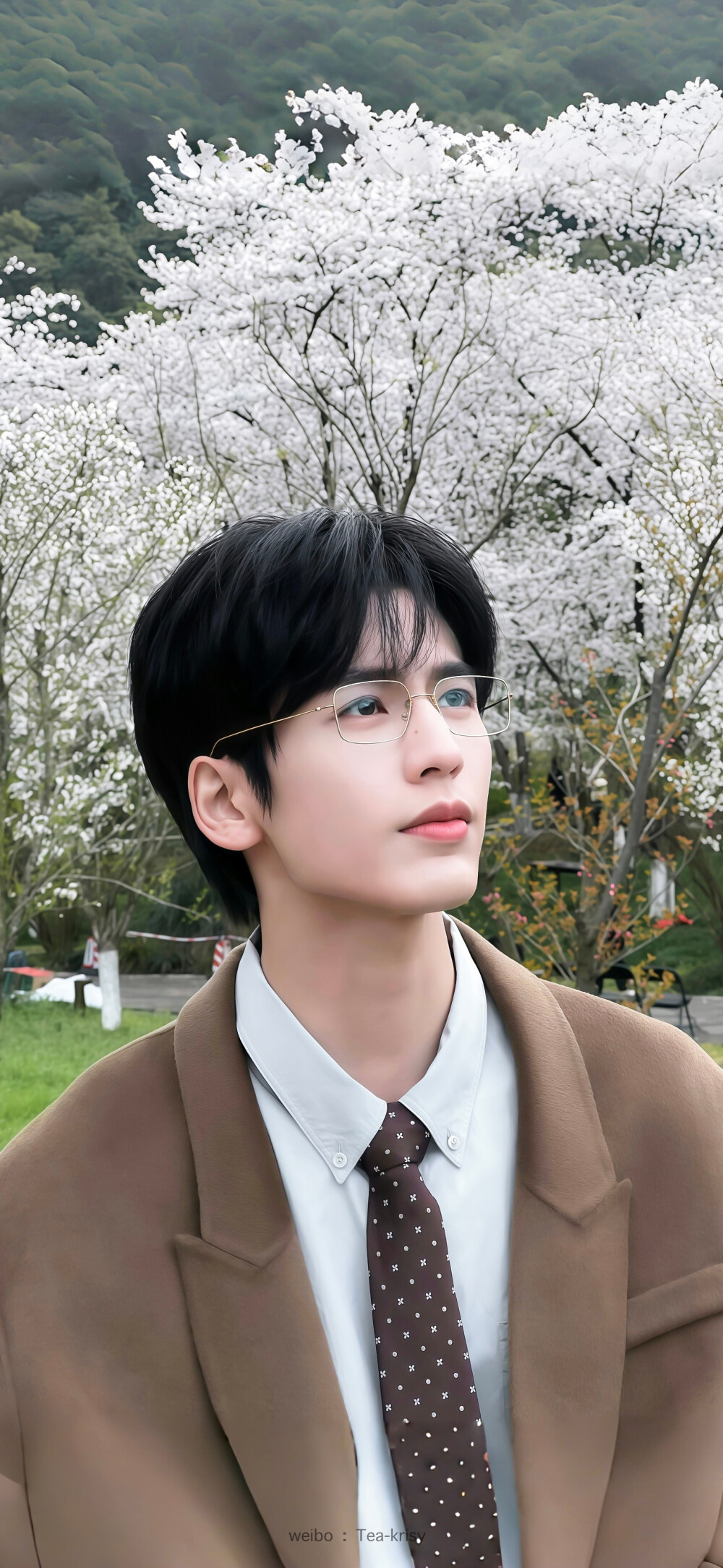 张凌赫·何苏叶
#爱你#