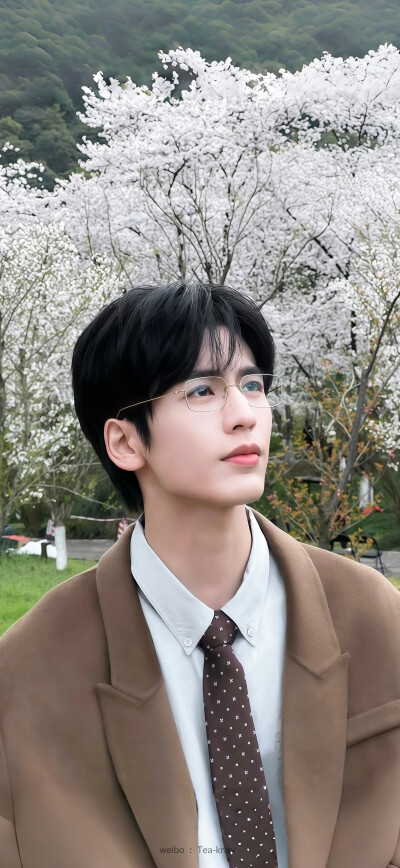 张凌赫·何苏叶
#爱你#