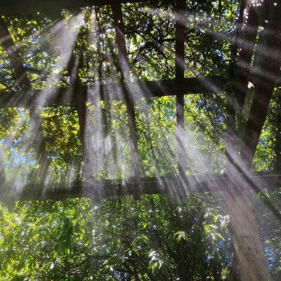 春日背景图