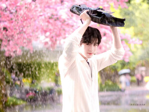 张凌赫 陈鹤一 黄誉博 邵子恒 周翊然