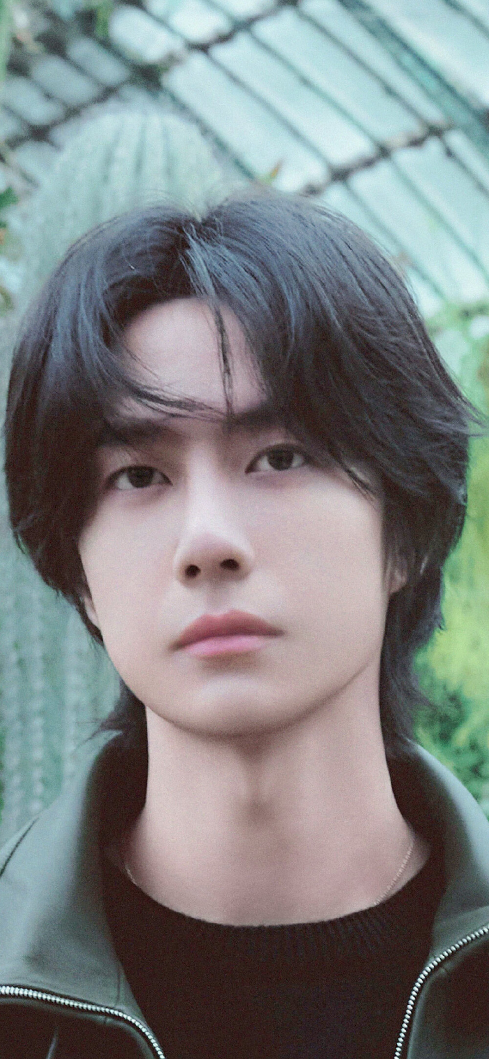 王一博 壁纸