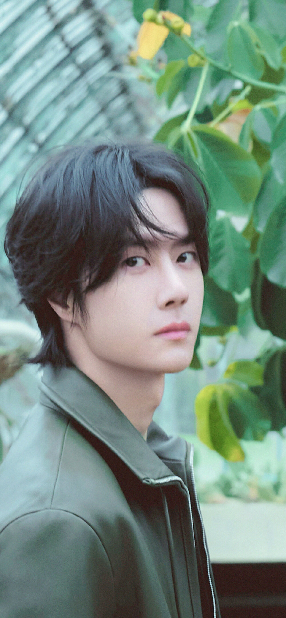 王一博 壁纸