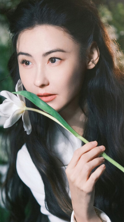 张柏芝