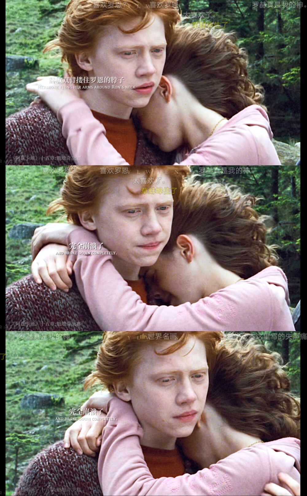 哈利波特,罗赫～罗恩赫敏