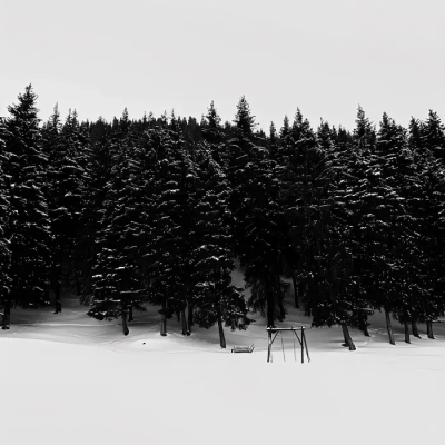  With you and without you