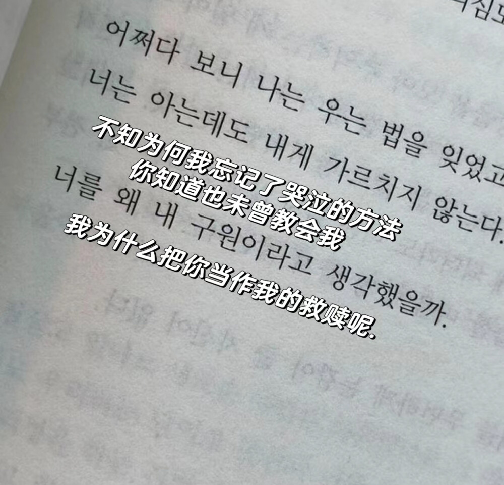 请你做我的唯一…