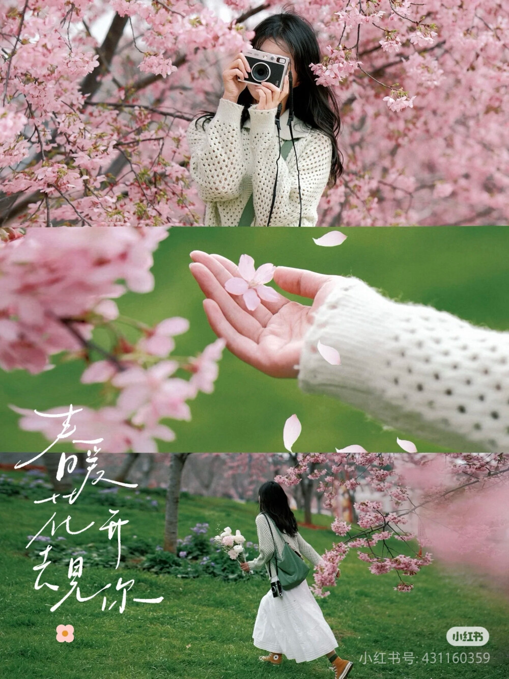 花花