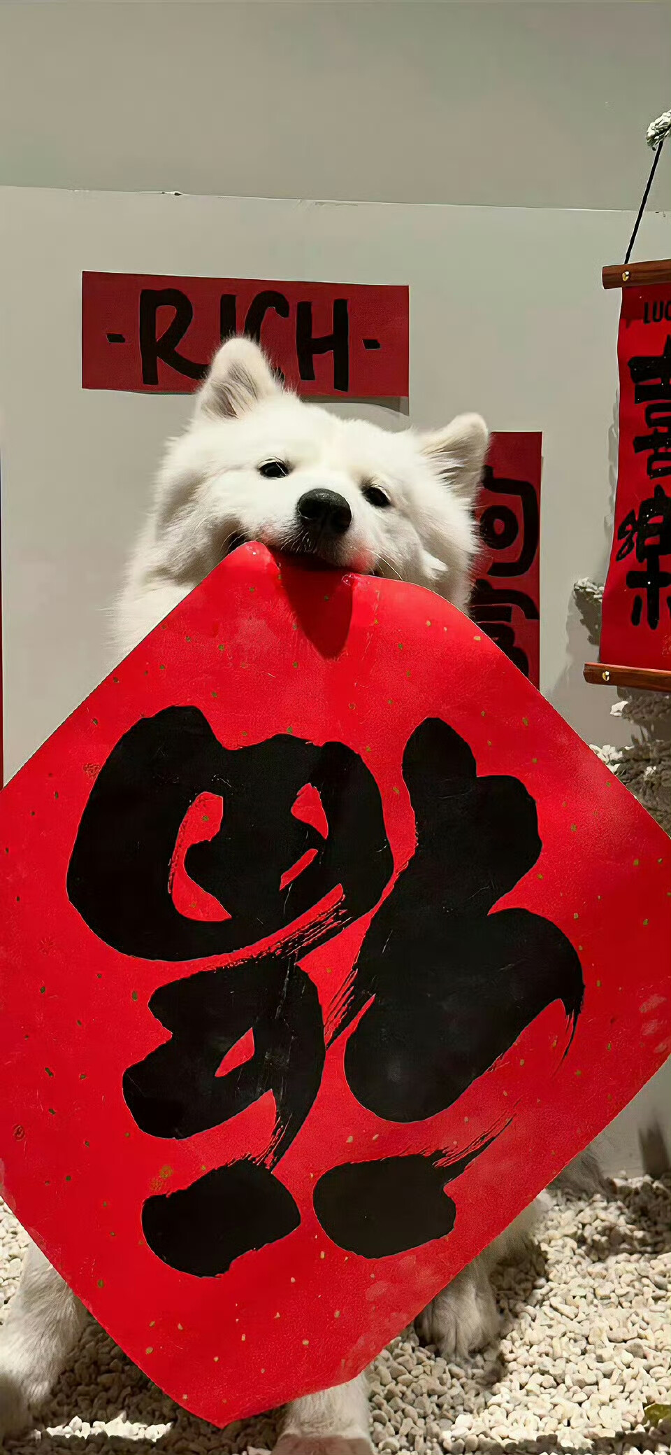weibo
