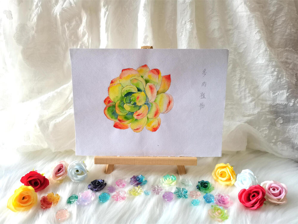 01 明亮多肉（绘画 | 水彩 | 果花甘02）
2018.03.21
是2018年春的一张图。一张非常明亮的多肉植物。也是自己画的首张多肉植物。
刚开始看到范画，感觉很难，有点发怵。上手画的时候发现线稿画得不错。突然就有了自信。
上色的时候还不太会调色，用墨绿加在了叶瓣深处，画的时候就感觉有点坏了，但画好后发现也没有丑。很开心。
非常喜欢这样明亮的颜色。像一朵春天阳光里的花，给岭南冬季瑟瑟发抖的我带来了阳光的感觉。