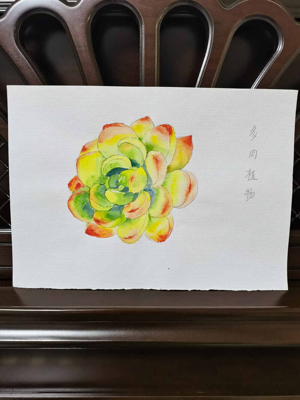 01 明亮多肉（绘画 | 水彩 | 果花甘02）
2018.03.21
是2018年春的一张图。一张非常明亮的多肉植物。也是自己画的首张多肉植物。
刚开始看到范画，感觉很难，有点发怵。上手画的时候发现线稿画得不错。突然就有了自信。
上色的时候还不太会调色，用墨绿加在了叶瓣深处，画的时候就感觉有点坏了，但画好后发现也没有丑。很开心。
非常喜欢这样明亮的颜色。像一朵春天阳光里的花，给岭南冬季瑟瑟发抖的我带来了阳光的感觉。