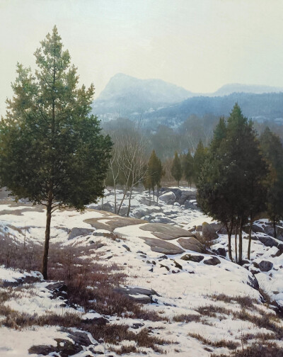 雪覆大地，残雪在山石间留存，几棵苍松傲然挺立。远处山峦隐于薄雾，似梦似幻，冬日山林的静谧与深邃在此刻尽显，仿佛时间都为这美景停驻。