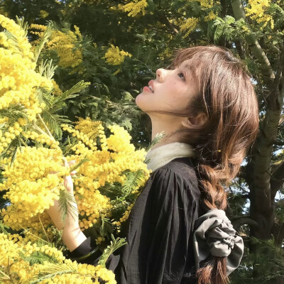 春