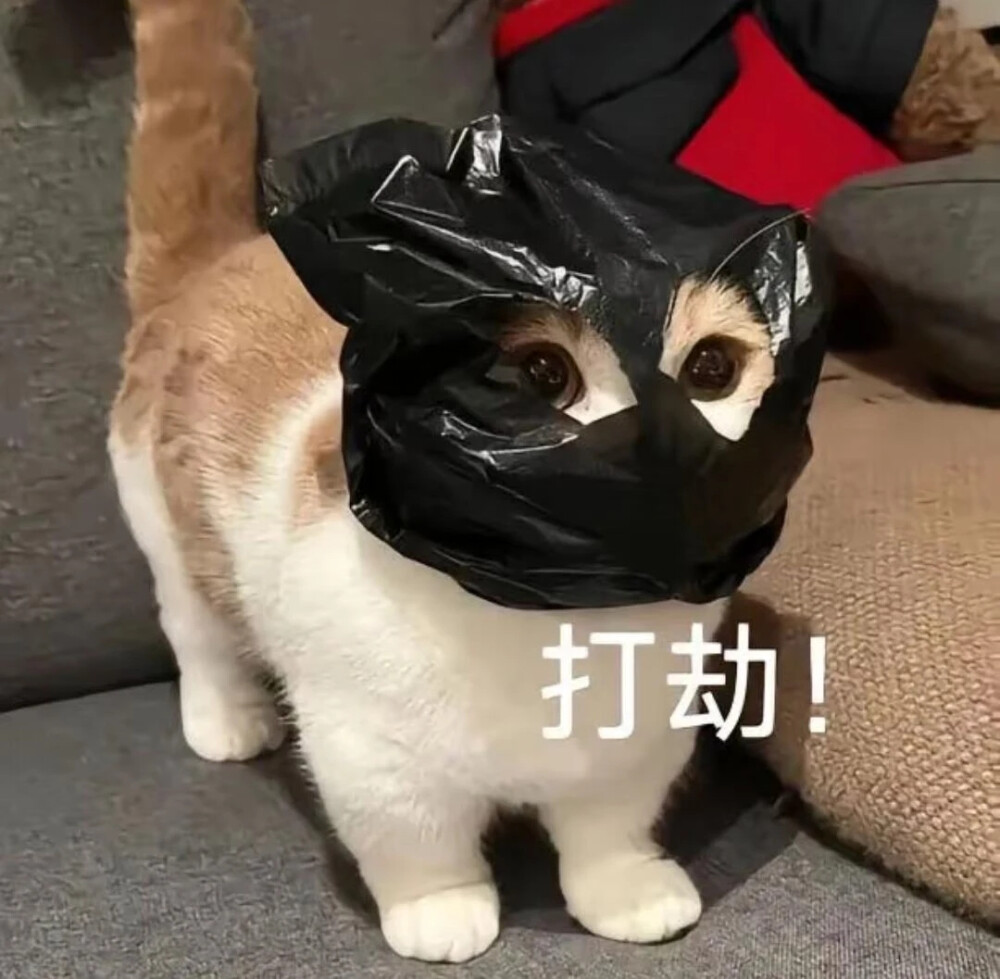 表情包 打劫