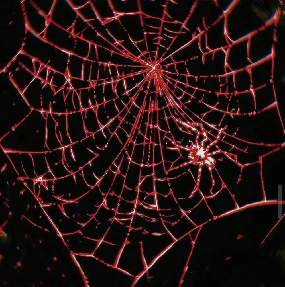 给我一首歌的时间