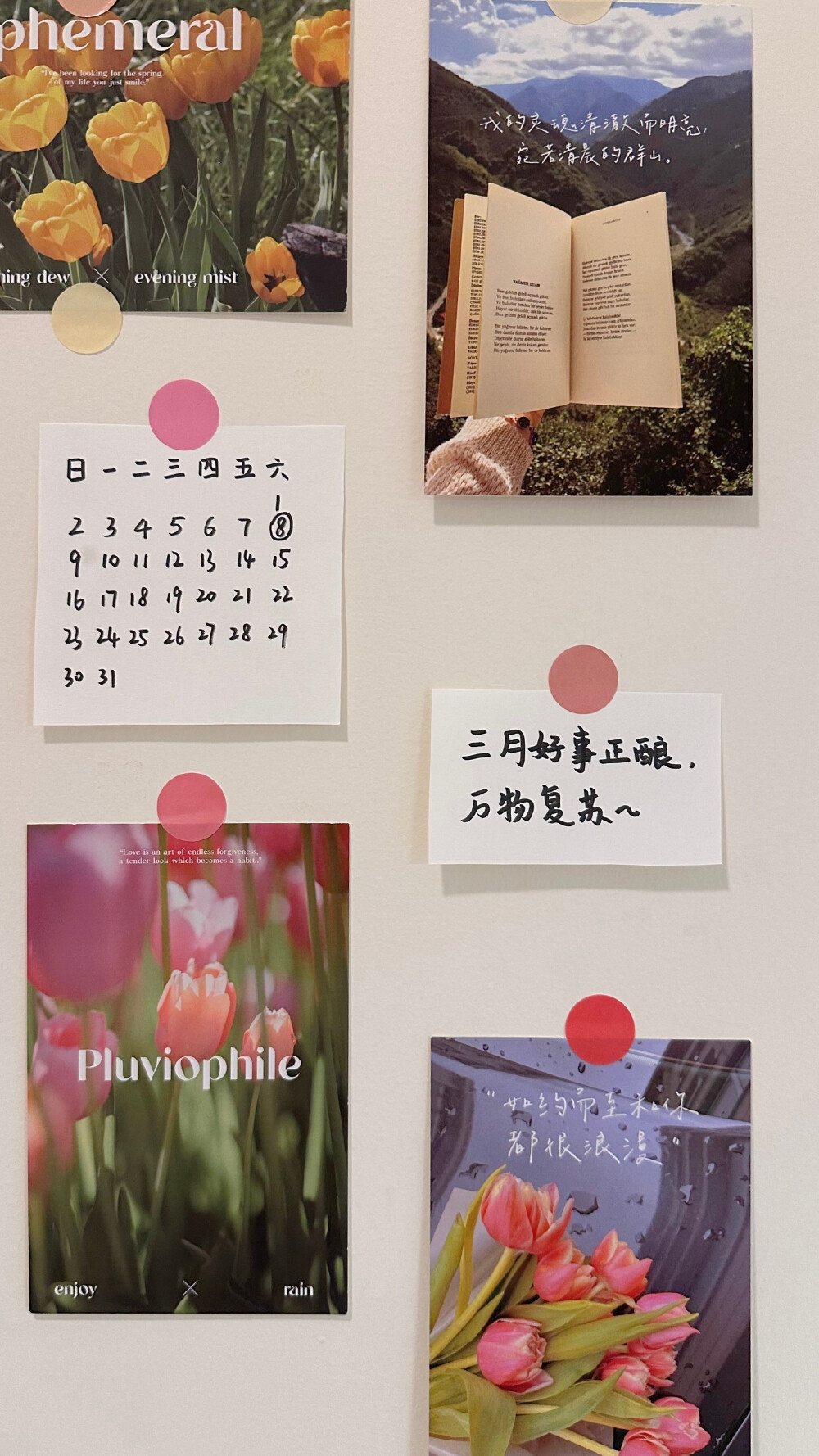 三月快乐！
cr@-渔十二
#三月壁纸# ​​​