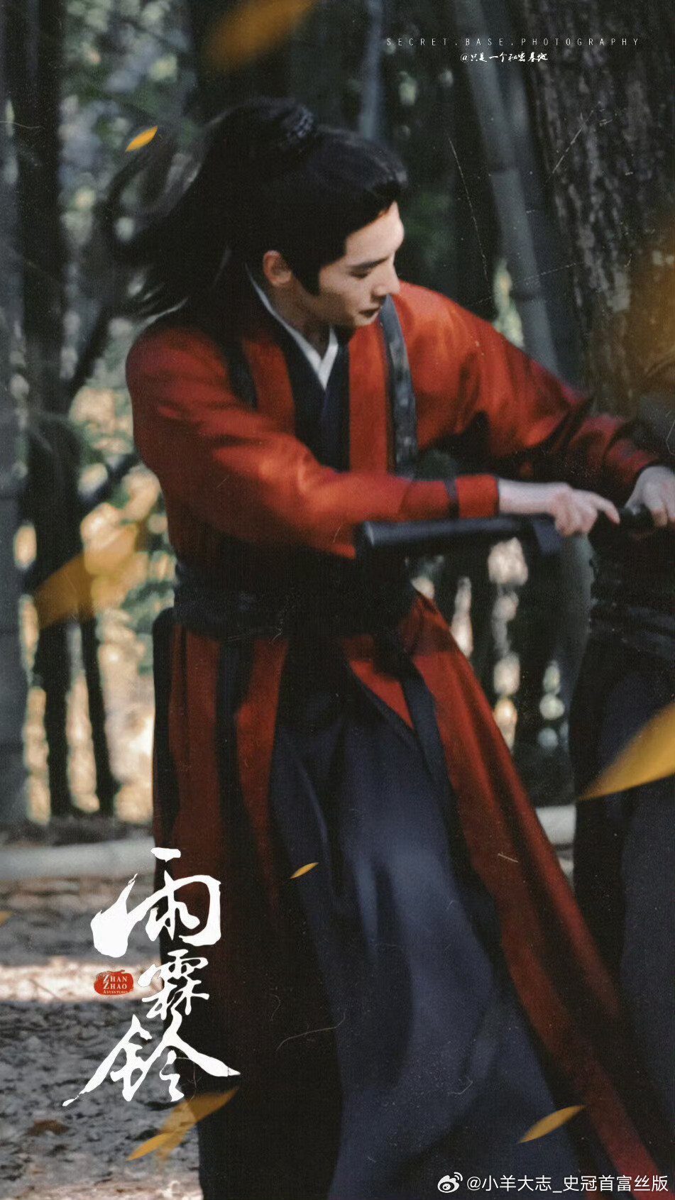 杨洋