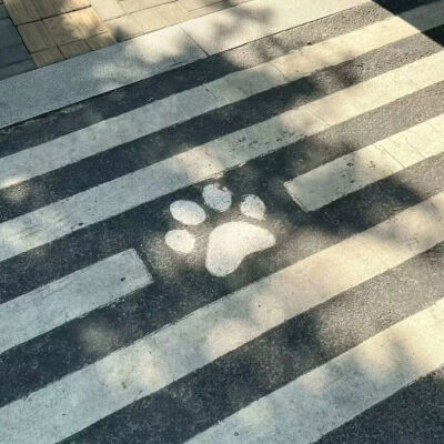 朋友圈背景图