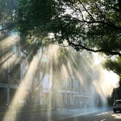 风景背景图