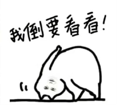 王一博表情包