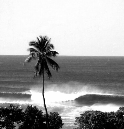 魔镜魔镜 谁是世界上最漂亮的女人呢