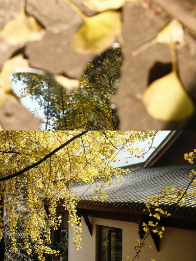 “生命是一颗长满可能的树”
摄影@陳事物語