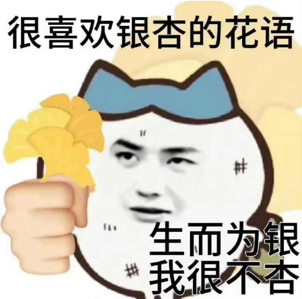 王一博表情包