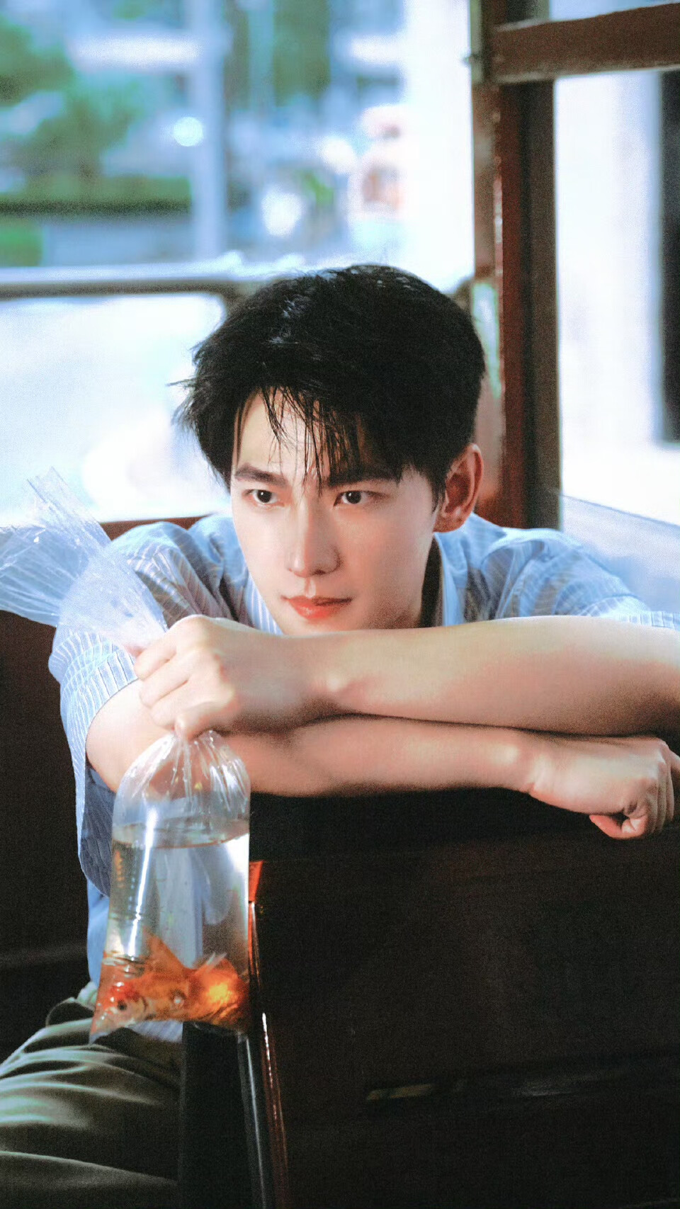 杨洋
cr@青崖寻酒