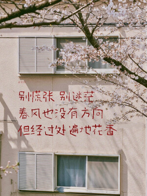 sʜɪɴʏsʜɪɴʏ➹