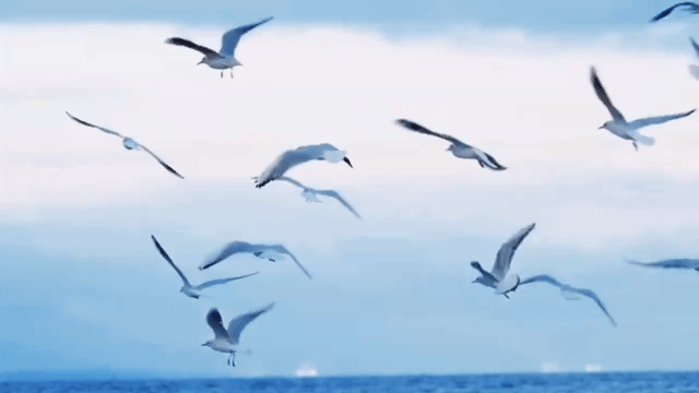 想见你