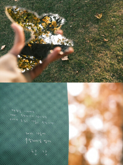 “生命是一颗长满可能的树”
摄影@陳事物語