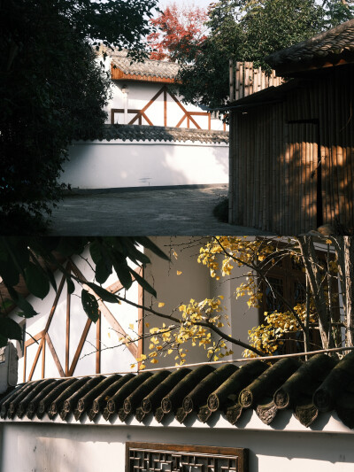 “生命是一颗长满可能的树”
摄影@陳事物語