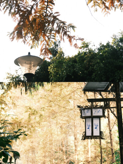 “生命是一颗长满可能的树”
摄影@陳事物語